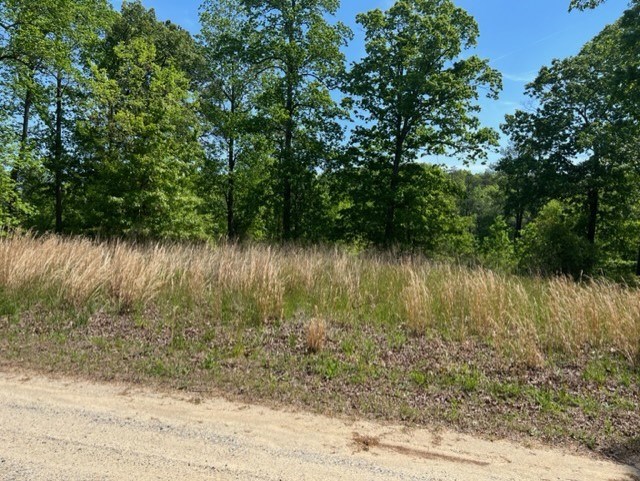 Road Frontage / Septic Field
